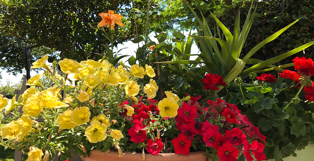 Linea FLORA